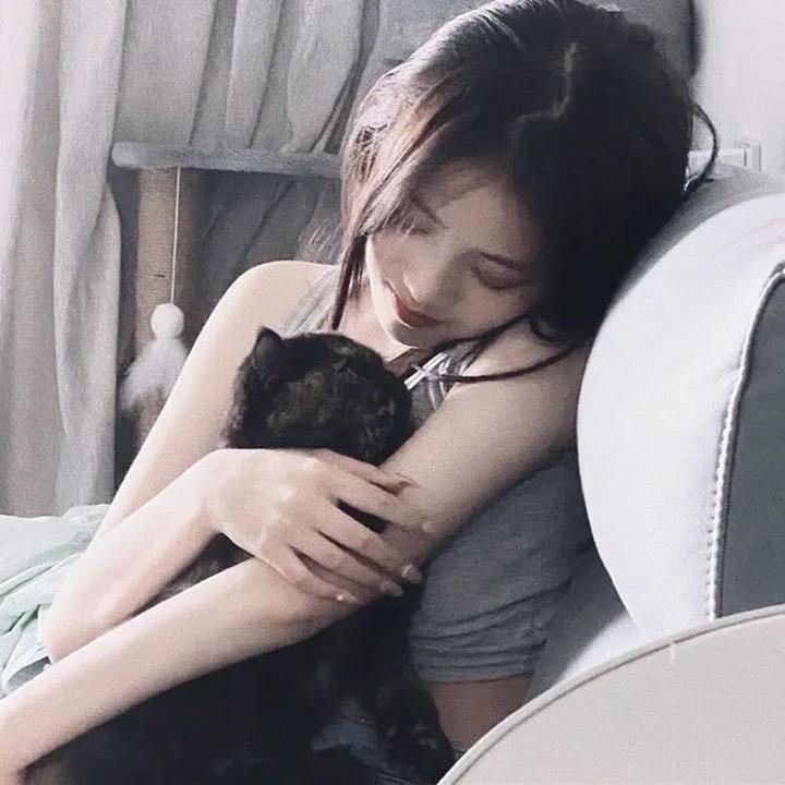 泡芙小姐第七季